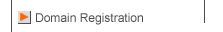 Domain Registration Details