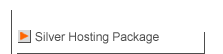 Silver Hosting Plan Details